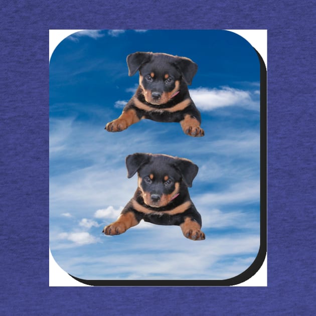 puppies on the blue rectangular background by KA&KO